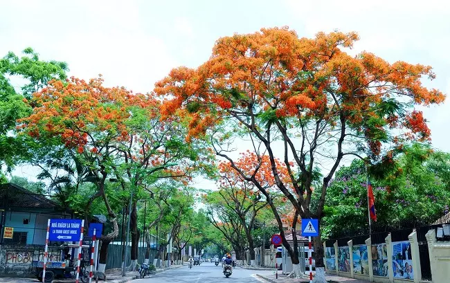 du lich ha noi