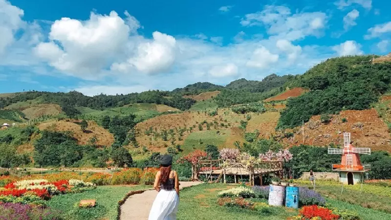 Khu du lịch Mộc Châu Happy Land