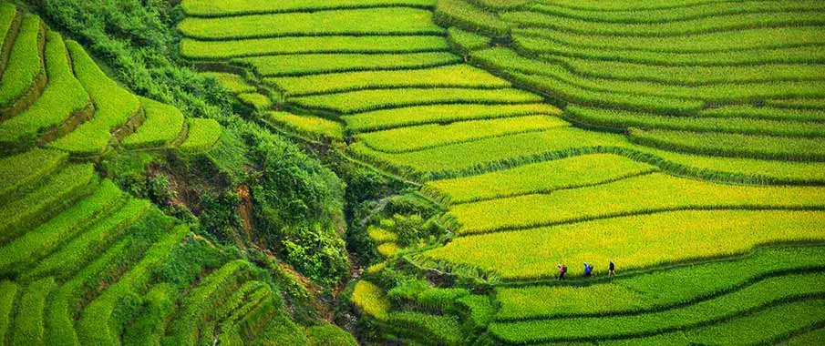 book-trekking-tour-sapa-vietnam