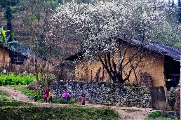 Nhiệt độ Sapa - Tháng 3, 4