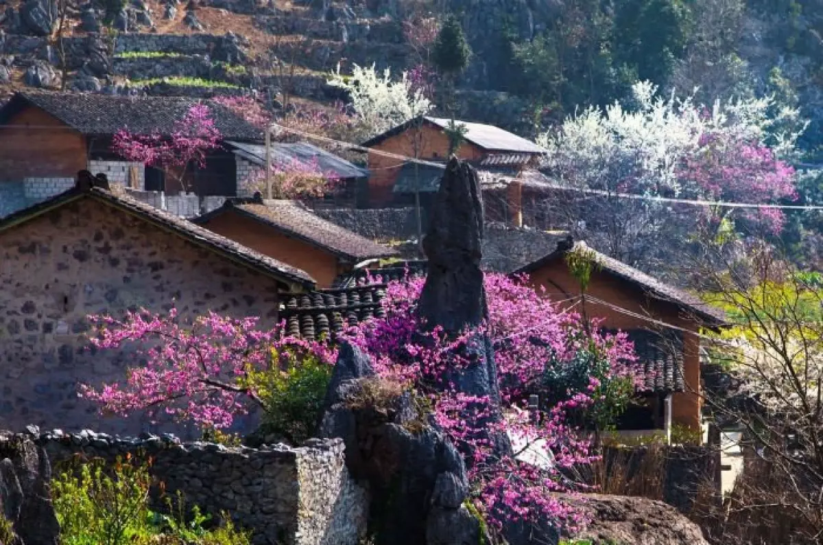 Tour SaPa 2 Ngày 1 Đêm