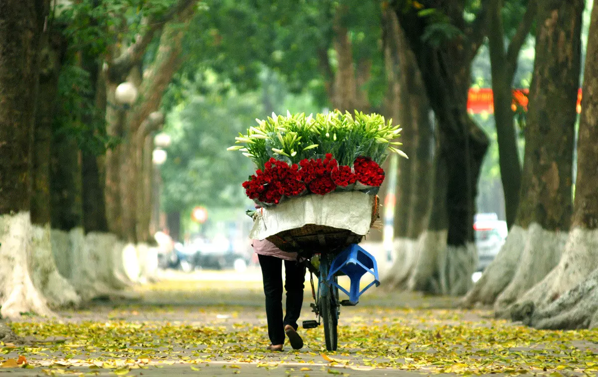 Hình ảnh Hà Nội vào Mùa Thu