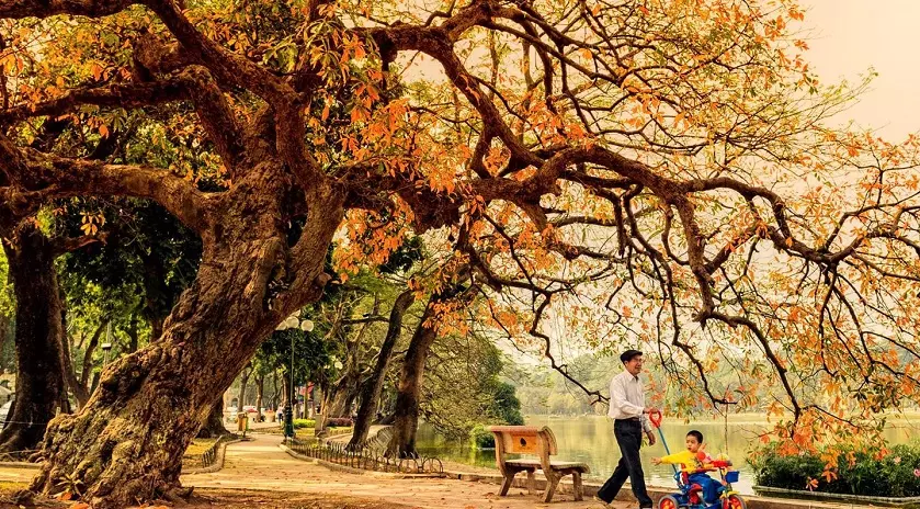 Mùa thu Hà Nội