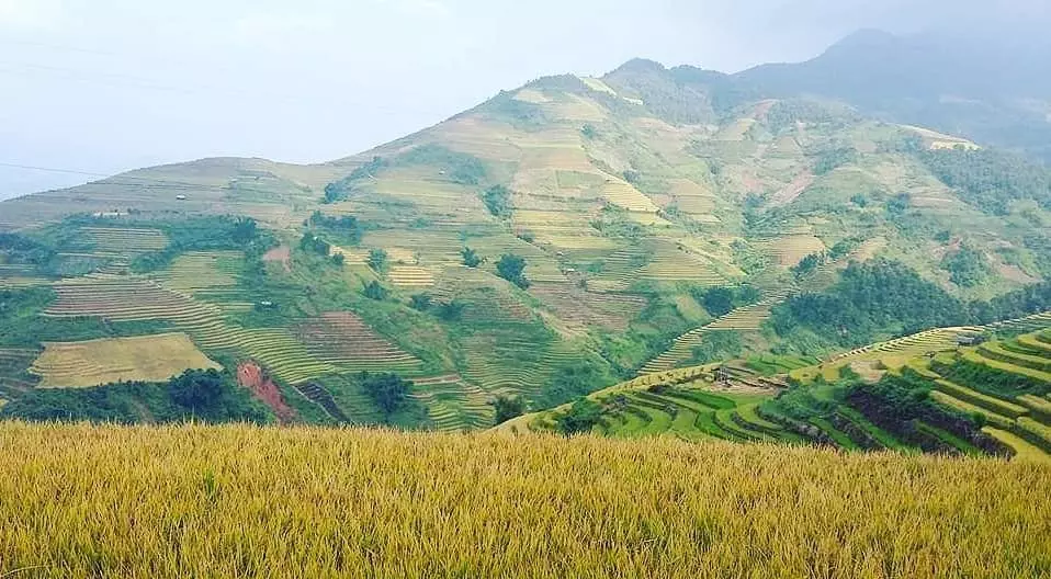 Khám phá Bản Lao Chải Sapa