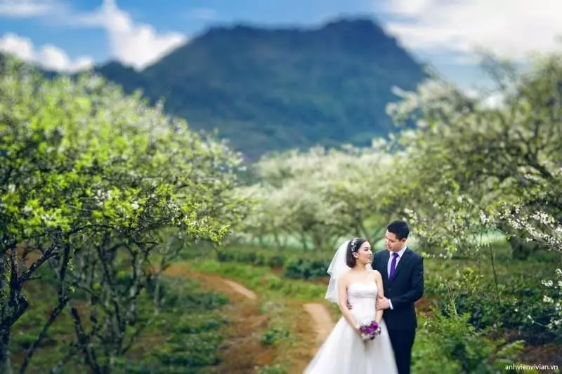 Trung Mộc Wedding