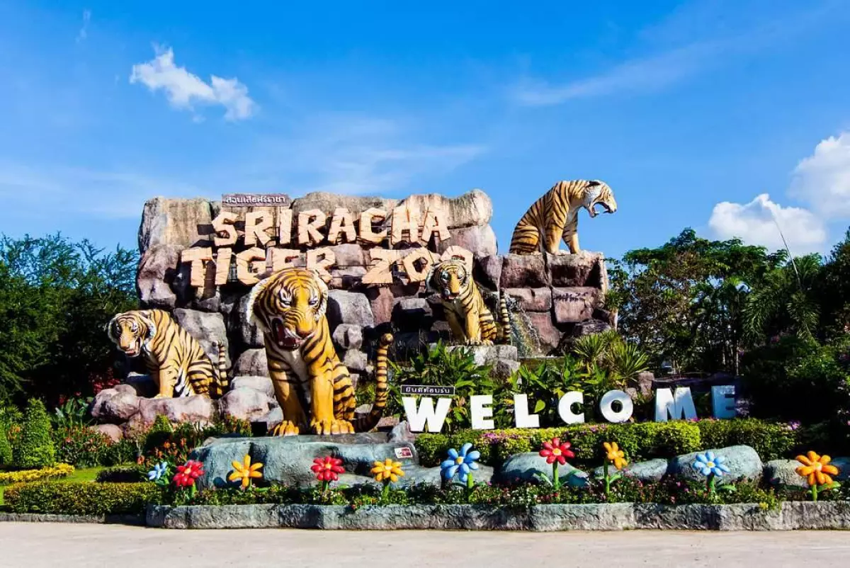 Trại Hổ Siracha Tiger Zoo