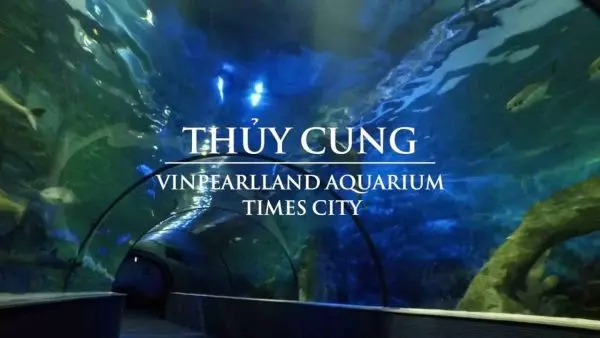 Ngắm nhìn thế giới đại dương tại Thủy Cung Times City Hà Nội