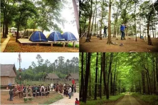 Vui chơi cắm trại tại Sơn Tinh Camp