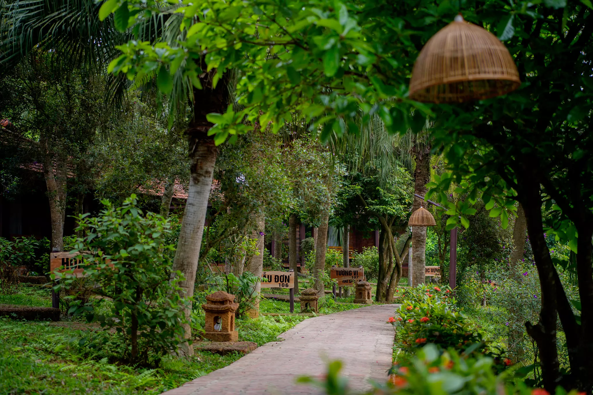 Khung cảnh yên tĩnh, lãng mạn