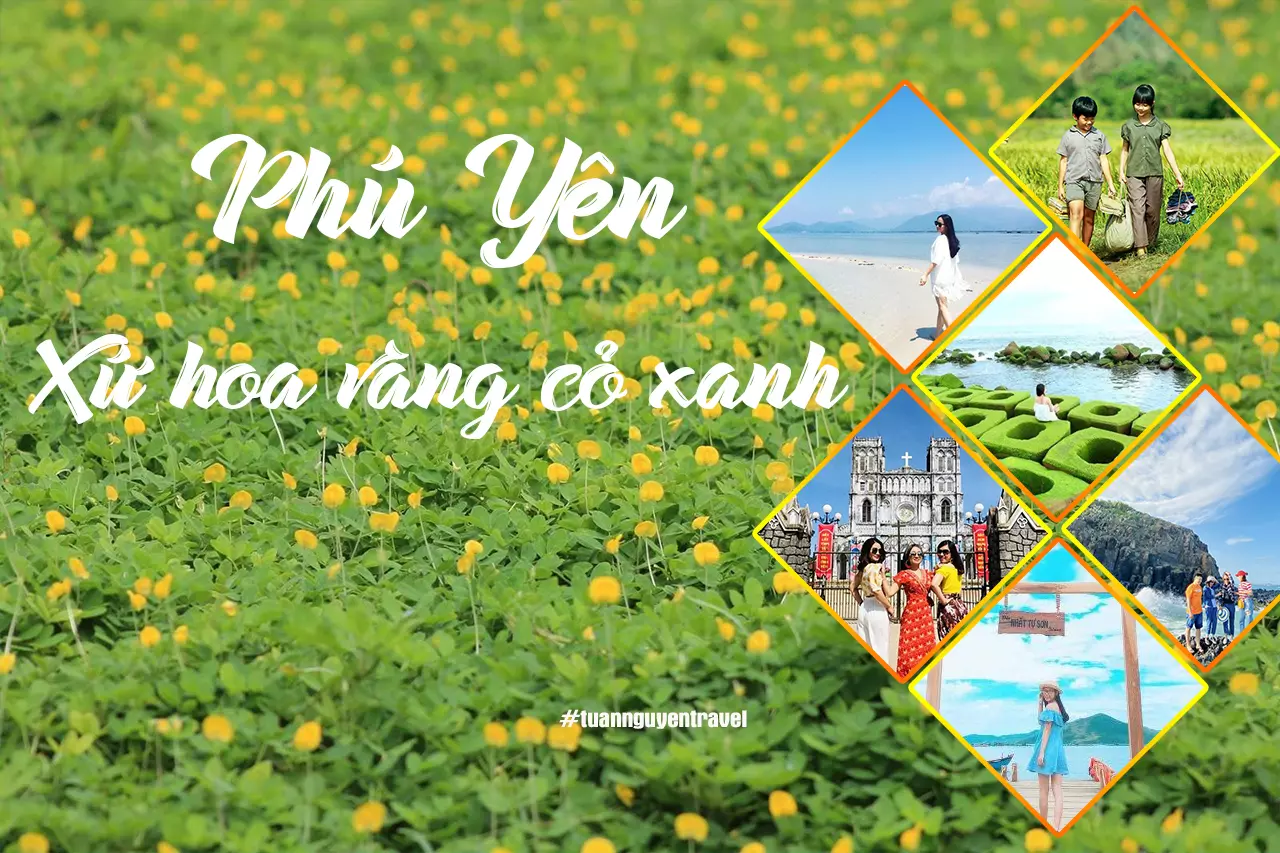 Phú Yên - Xứ sở hoa vàng cỏ xanh