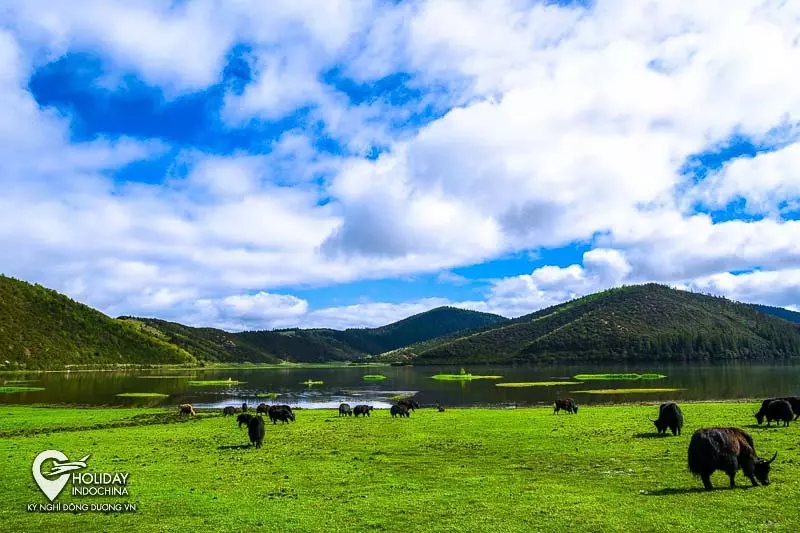 tour lệ giang