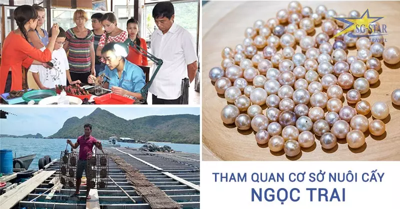 Cơ sở nuôi cấy ngọc trai - Phú Quốc