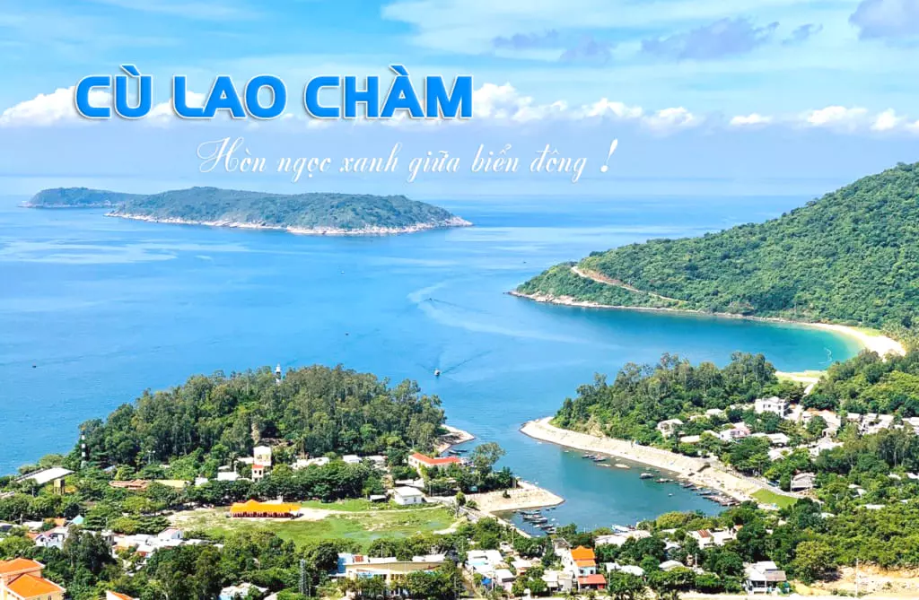 Lặn biển ngắm sinh vật biển và san hô là hoạt động được ưa thích nhất tour Cù Lao Chàm