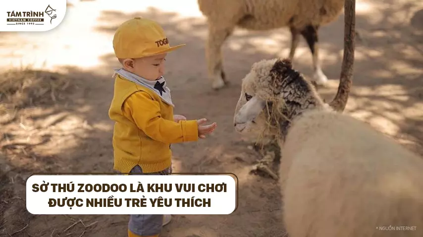 Sở thú ZooDoo là khu vui chơi được nhiều trẻ yêu thích