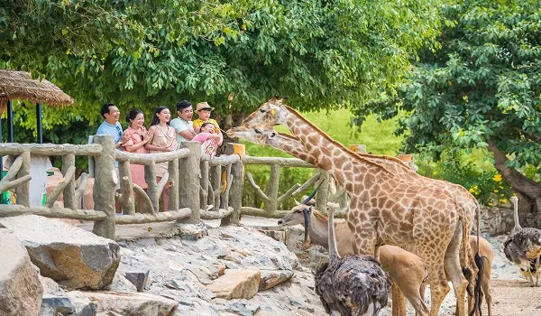 Tận hưởng cảm giác bậc nhảy tự do trên không trung với trò chơi Bật nhảy Bungee