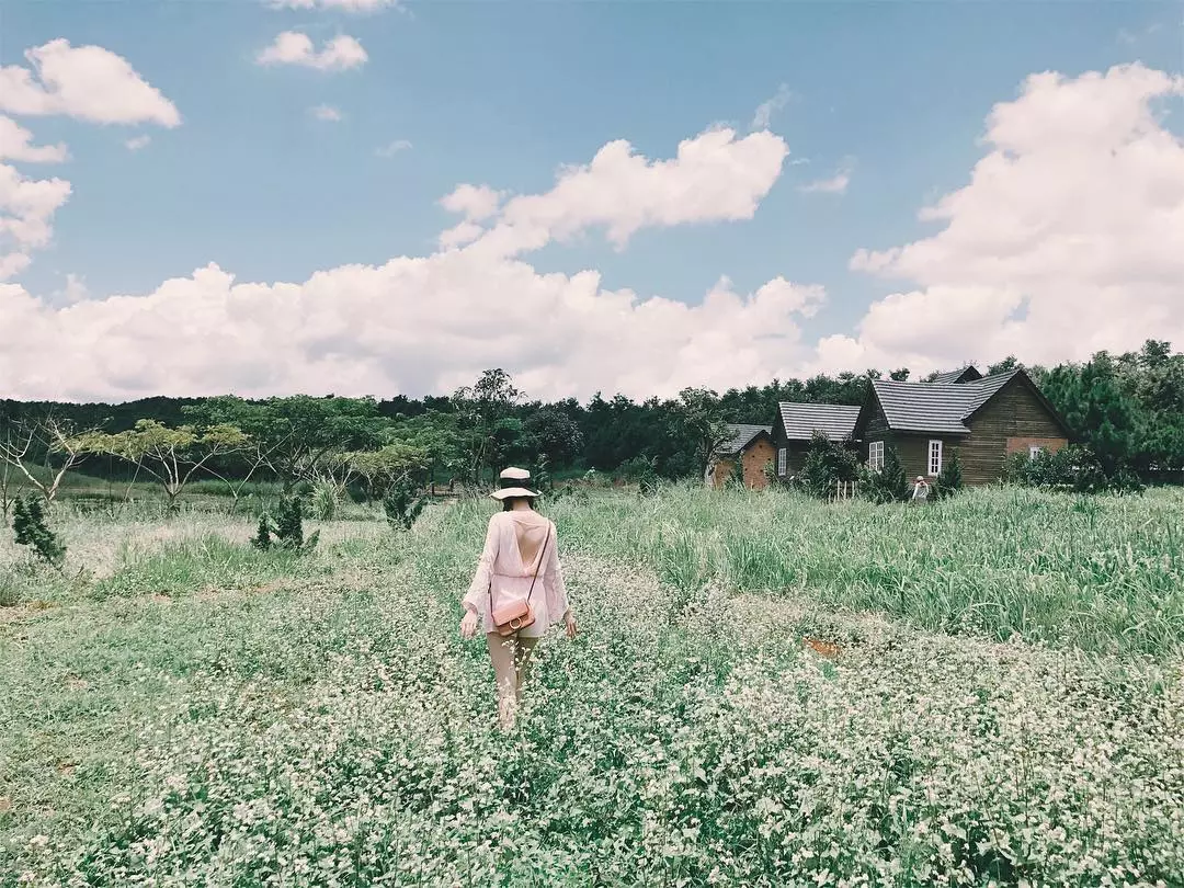 Đà Lạt Milk Farm