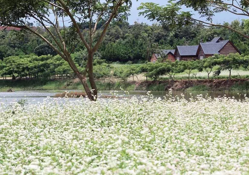 tour du lịch