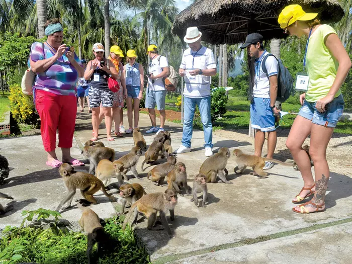 Ghé thăm đảo Khỉ