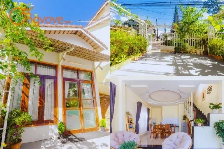 Nhiều homestay ở Đà Lạt phải đi vào trong ngõ hẹp và dốc