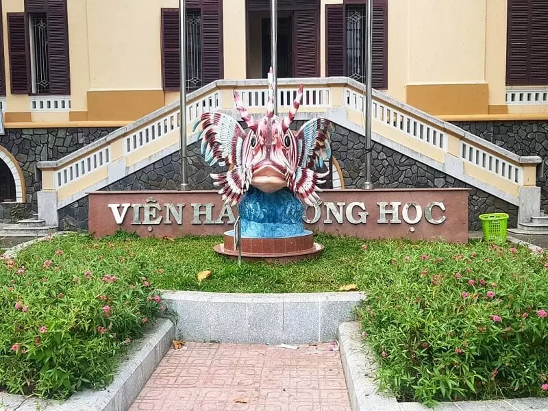 Viện Hải Dương Học thú vị và hấp dẫn với rất nhiều du khách