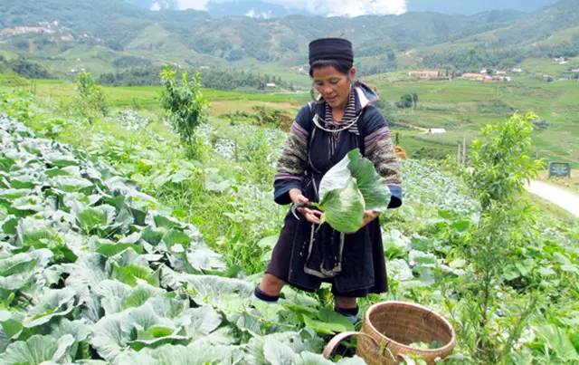 tour du lich sapa