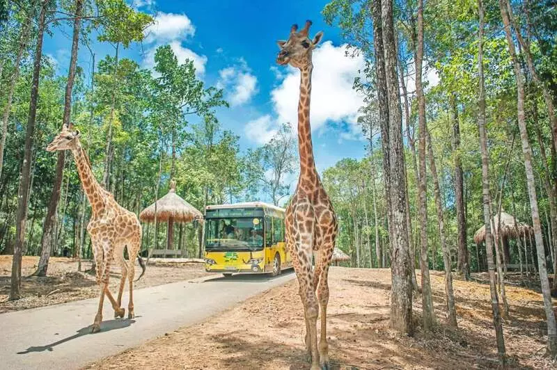 Vườn thú Safari Phú Quốc