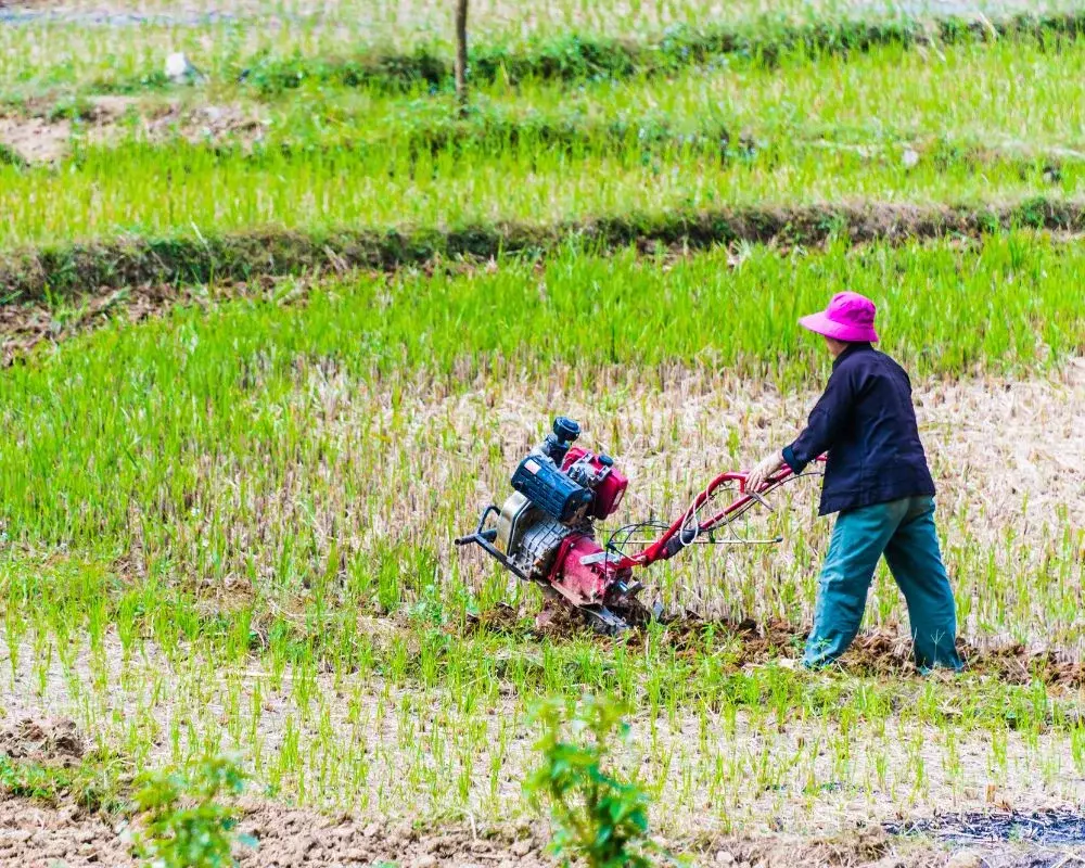 Journey With Us: Sapa To Ha Long Bay - An Unforgettable Adventure