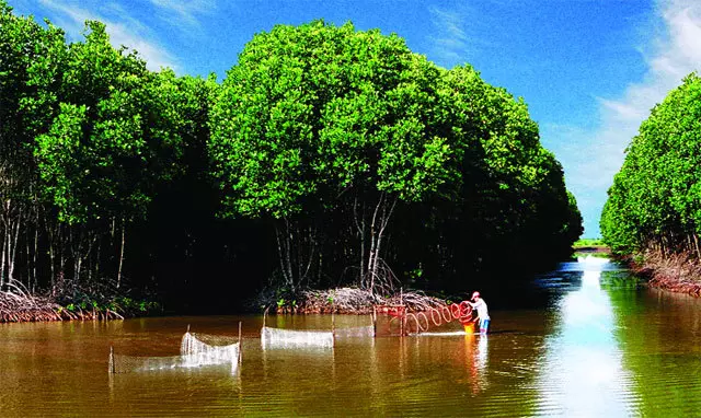 Tour du lịch Cà Mau 2024