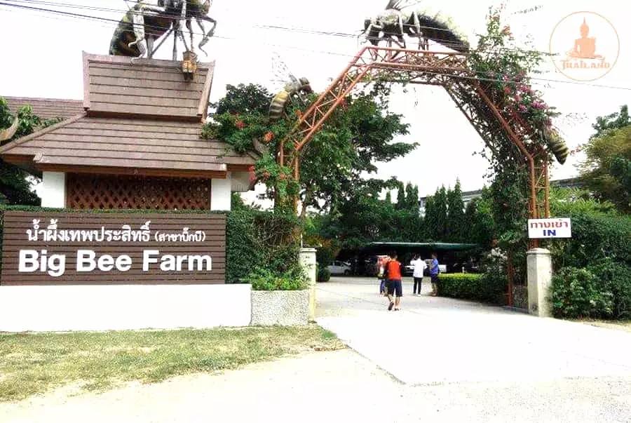 Big Bee Farm