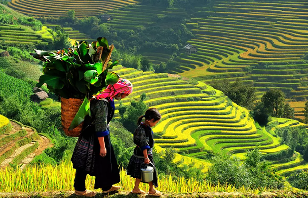 tour du lich sapa tet nguyen dan