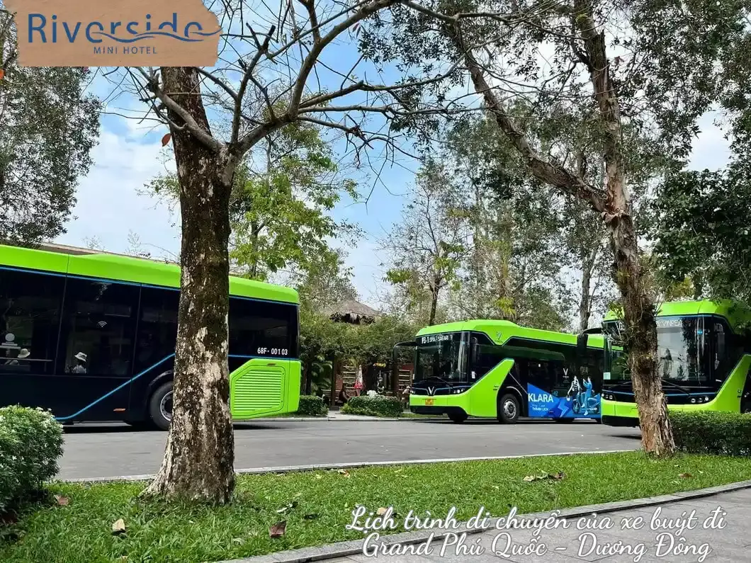 Xe Bus Grand World Phú Quốc