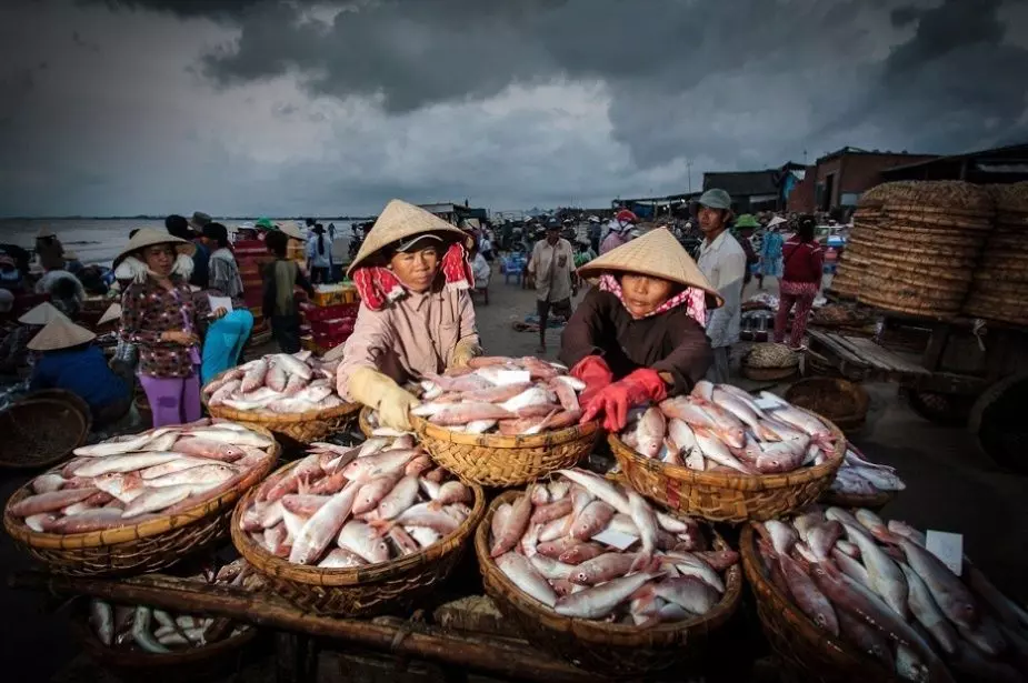 Bánh xèo hải sản