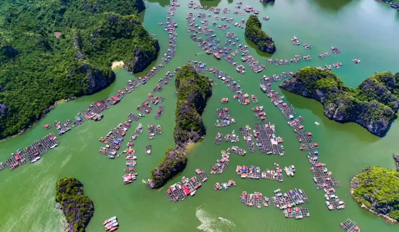 Làng chài Cửa Vạn với nét hoang sơ yên bình