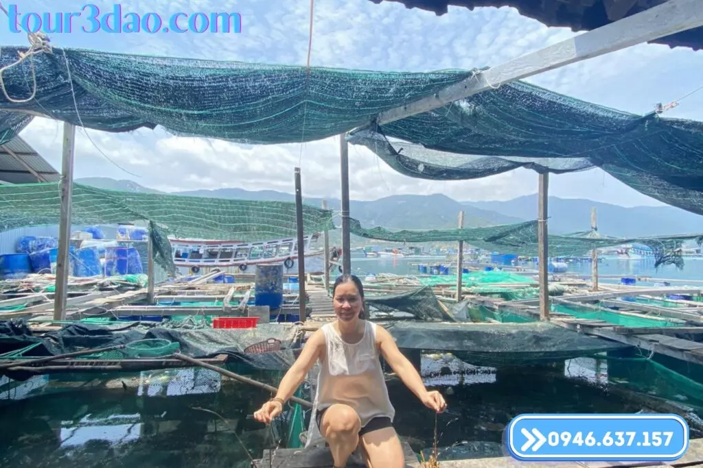 tour 3 dao nha trang gia tron goi ngam san ho