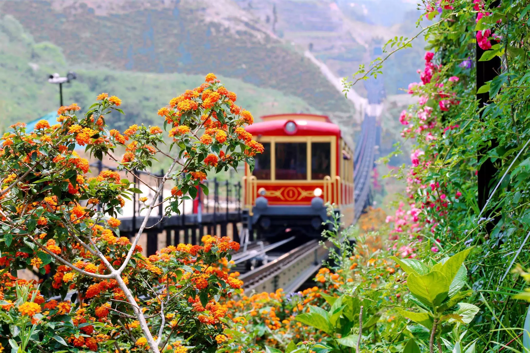 Tour du lịch Huế - Bà Nà Hill - Huế 1 ngày 2023