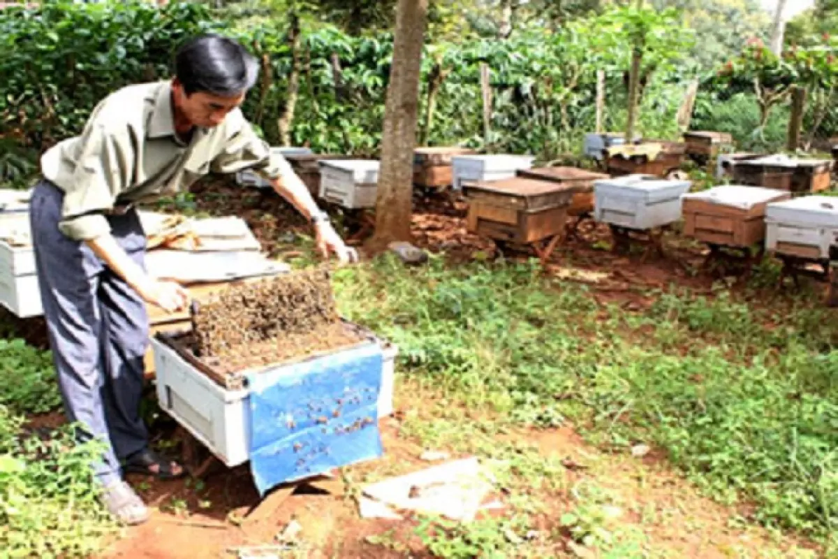 Tour Miền Tây Phú Quốc