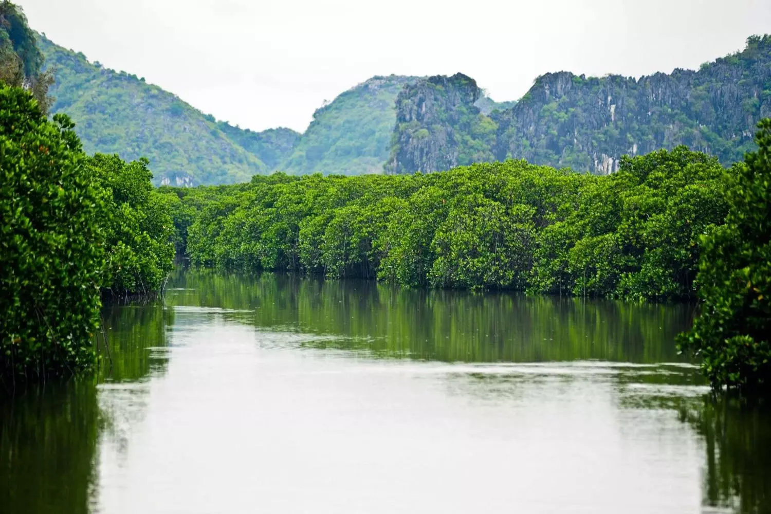 vịnh nha phu