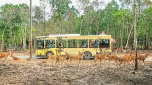 Vườn Thú Safari