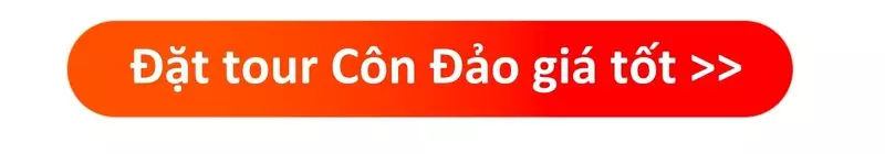 Kinh nghiệm du lịch Côn Đảo cho người đi lần đầu