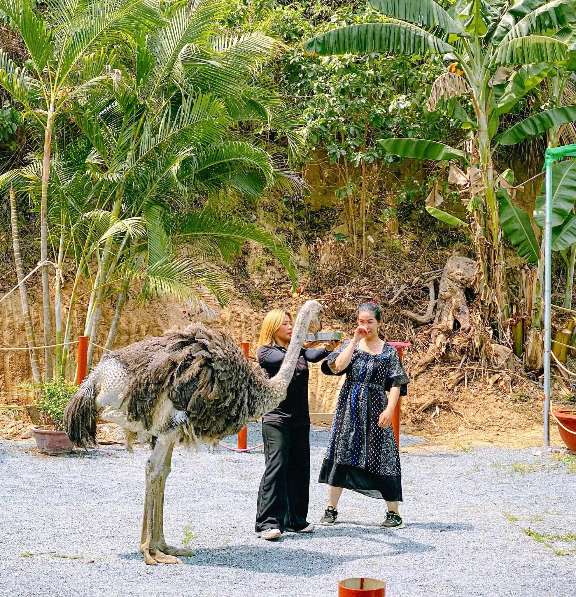 TOUR HỒ KÊNH HẠ NHA TRANG TRONG NGÀY 2023