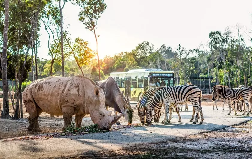 Vinpearl Safari Phu Quoc