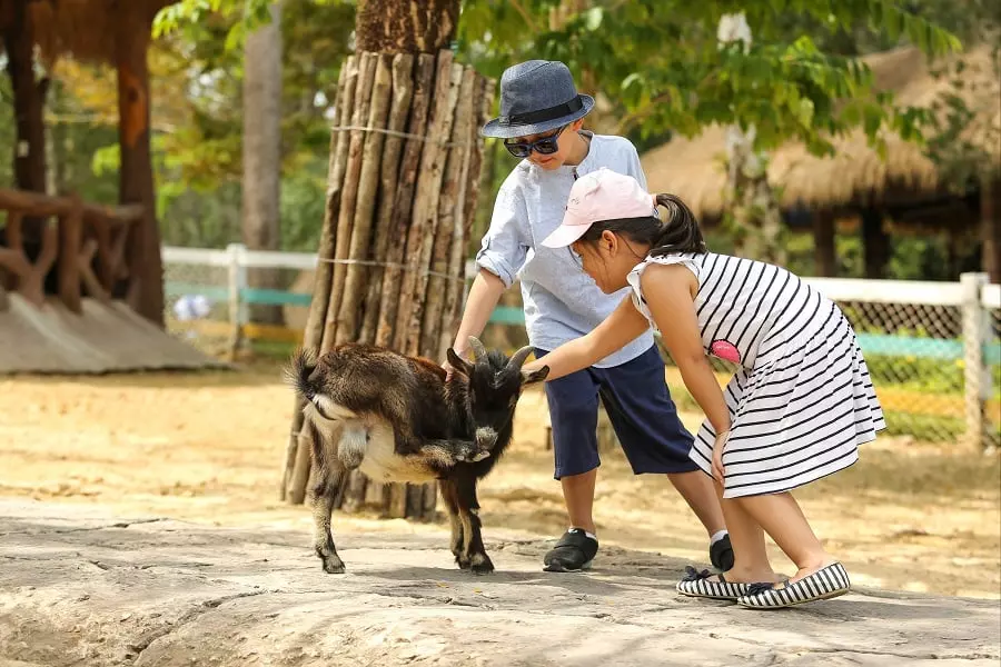 Vinpearl Safari Phu Quoc