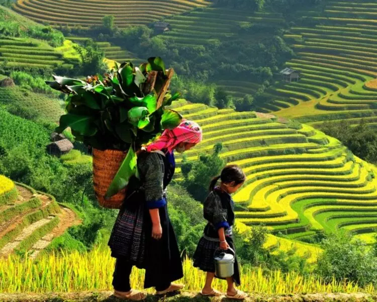 The Ultimate Sapa Itinerary: 3 Days 4 Days And Beyond 70