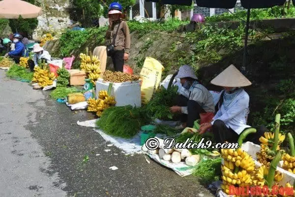 Cung đường tuyệt đẹp ở Tam Đảo