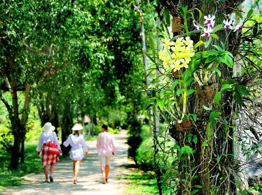 Tour Đảo Hoa Lan