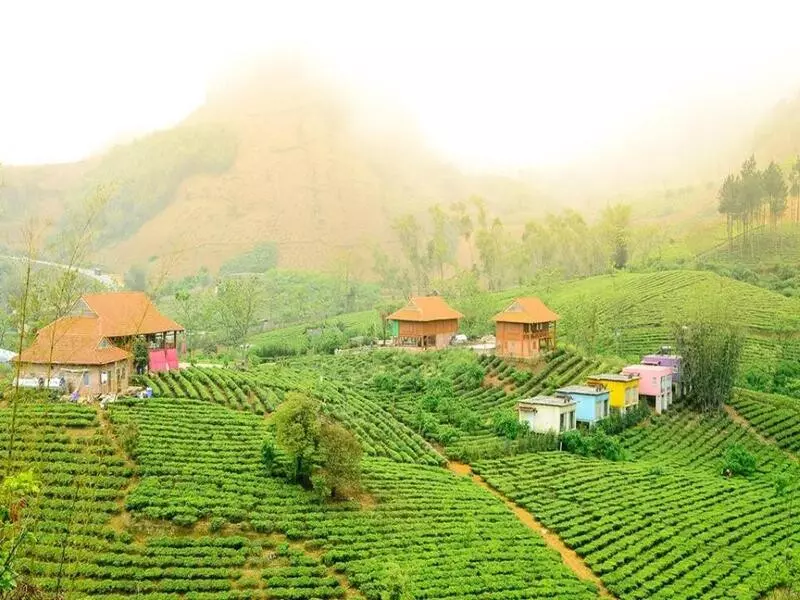 Mộc Châu Arena Village