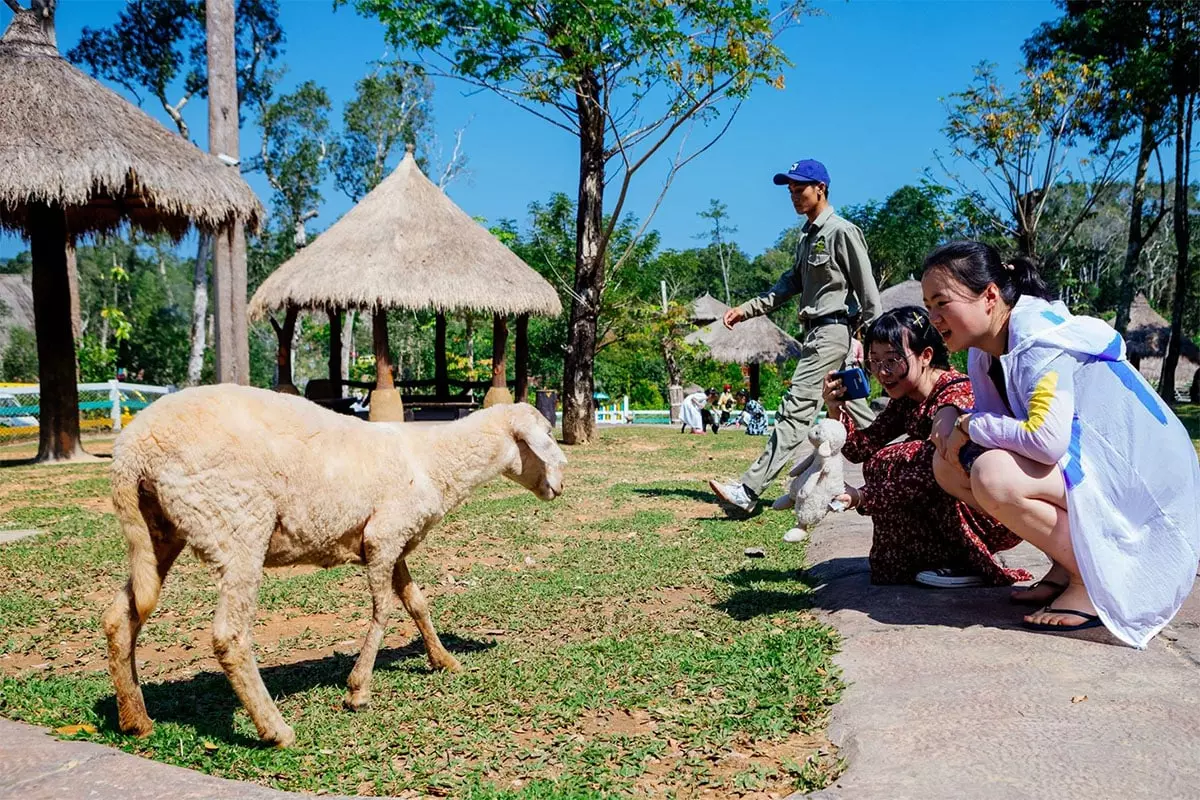 vinpearl safari phu quoc