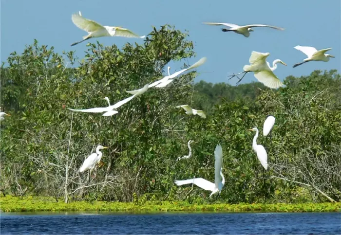 Khu dự trữ sinh quyển ven biển và biển đảo Kiên Giang đã được UNESCO công nhận là khu dự trữ sinh quyển thế giới vào năm 2016