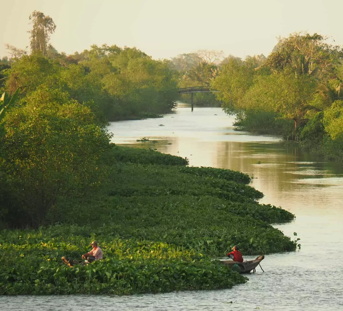 culaoanbinh1