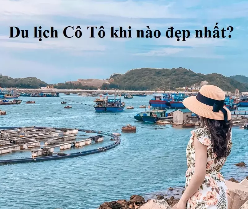 Tàu cao tốc đi Cô Tô